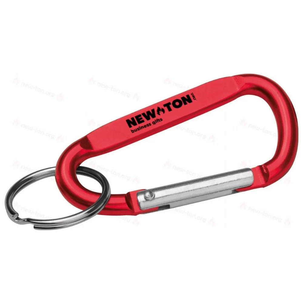 
                                            Key chain with carabiner
                                            
