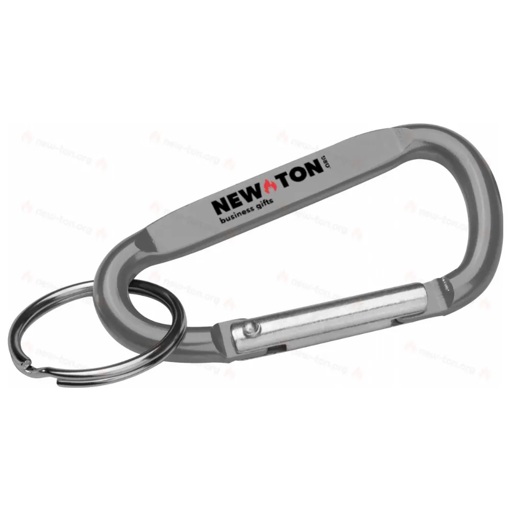 
                                            Key chain with carabiner
                                            