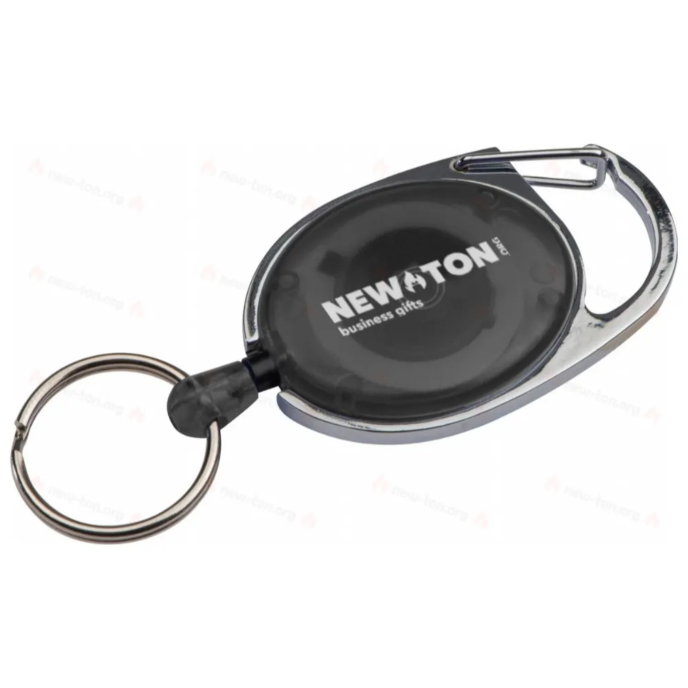 
                                            Key chain with carabiner and extensible key ring
                                            