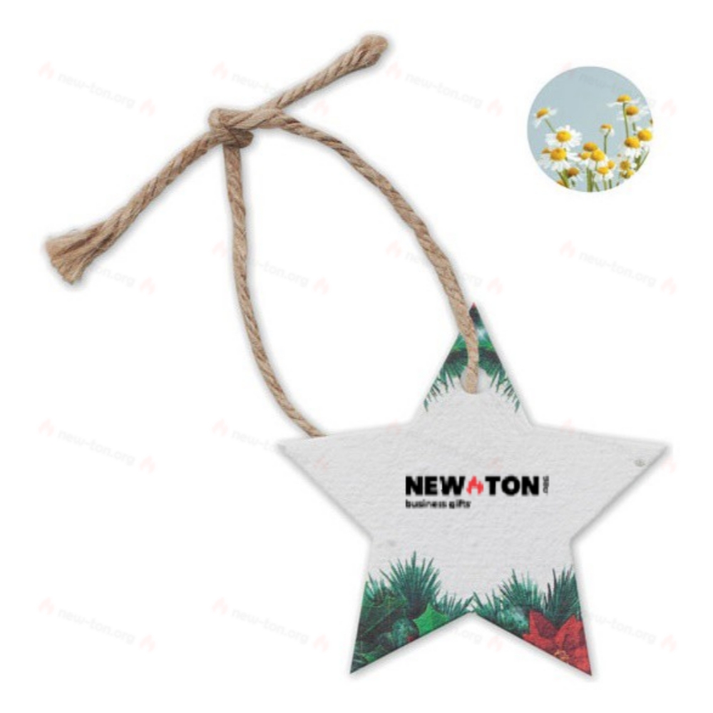 Звезда новогодняя