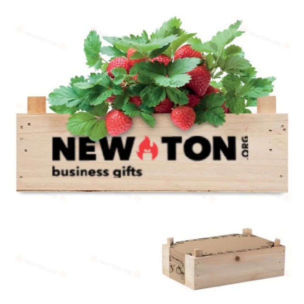 Набор для выращивания