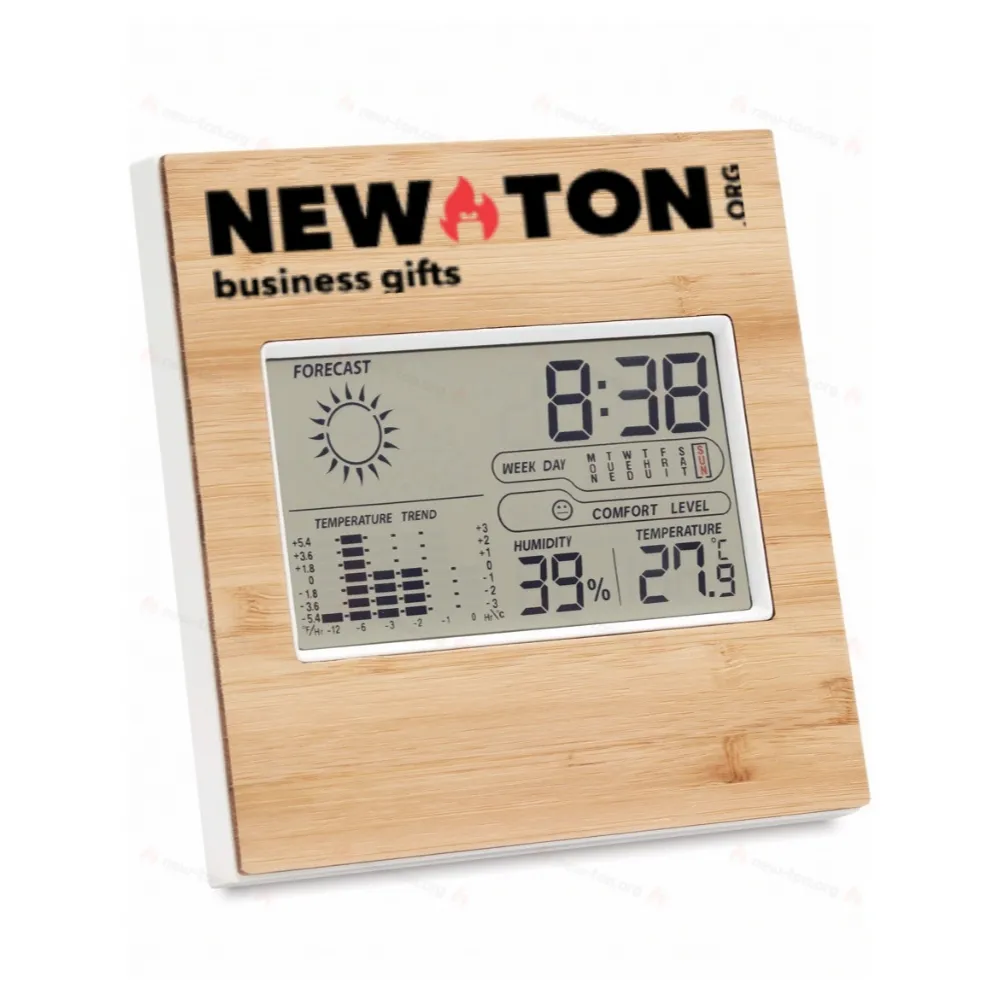 Метеостанция из бамбука