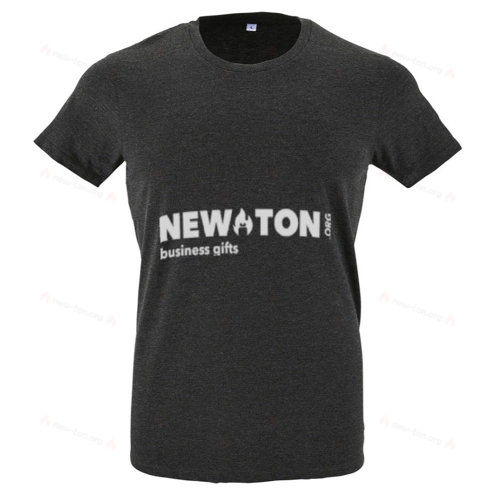 МУЖСКАЯ ФУТБОЛКА REGENT F 150г