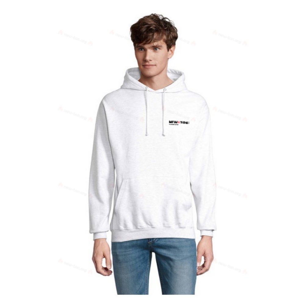 Кондор унисекс худи с капюшоном