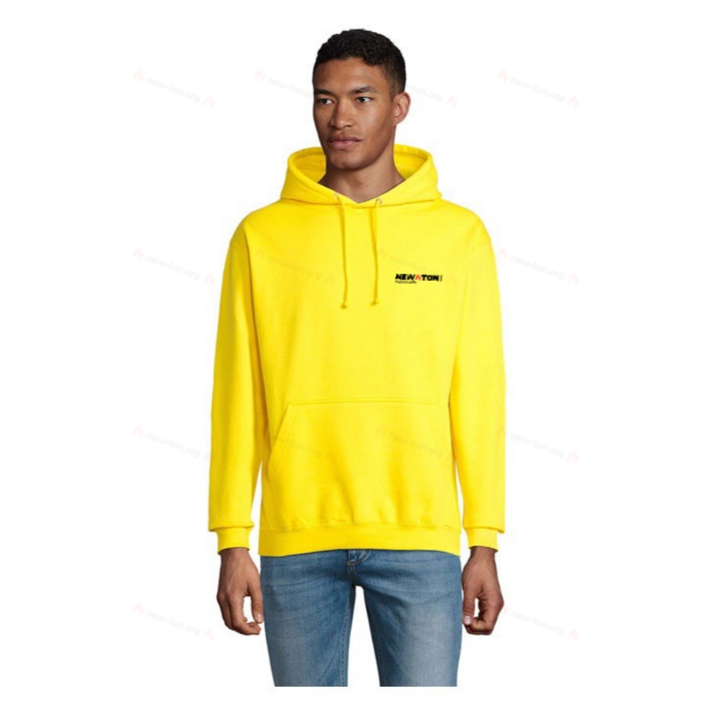 Кондор унисекс худи с капюшоном