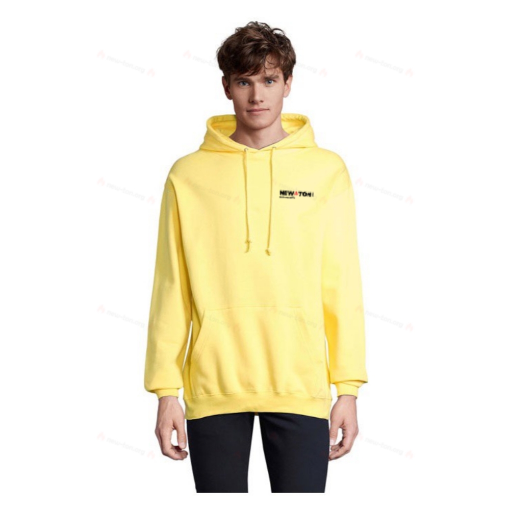 Кондор унисекс худи с капюшоном