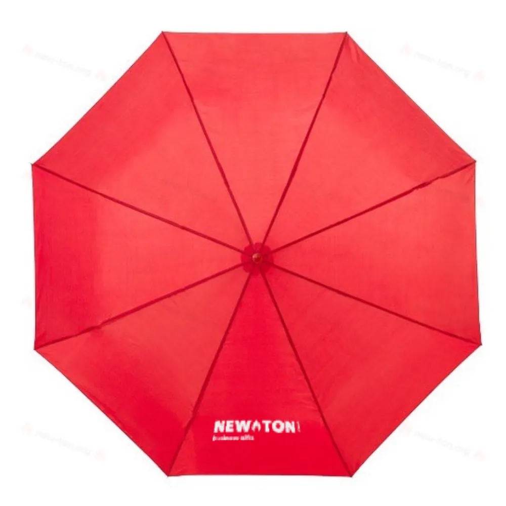 Складной зонт Ida 21.5