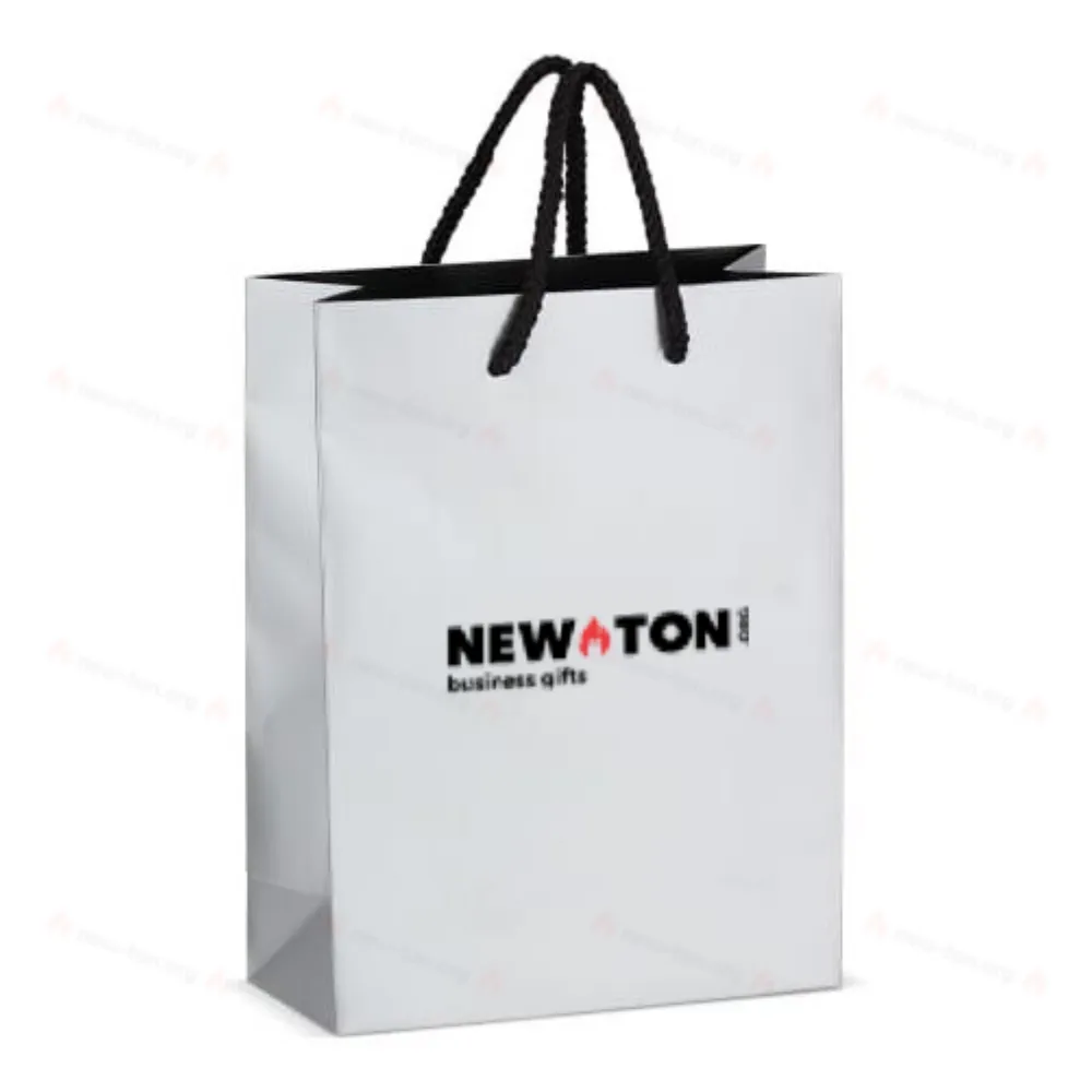 Бумажный подарочный пакет 18 х 8 х 24 см 200 г/м²