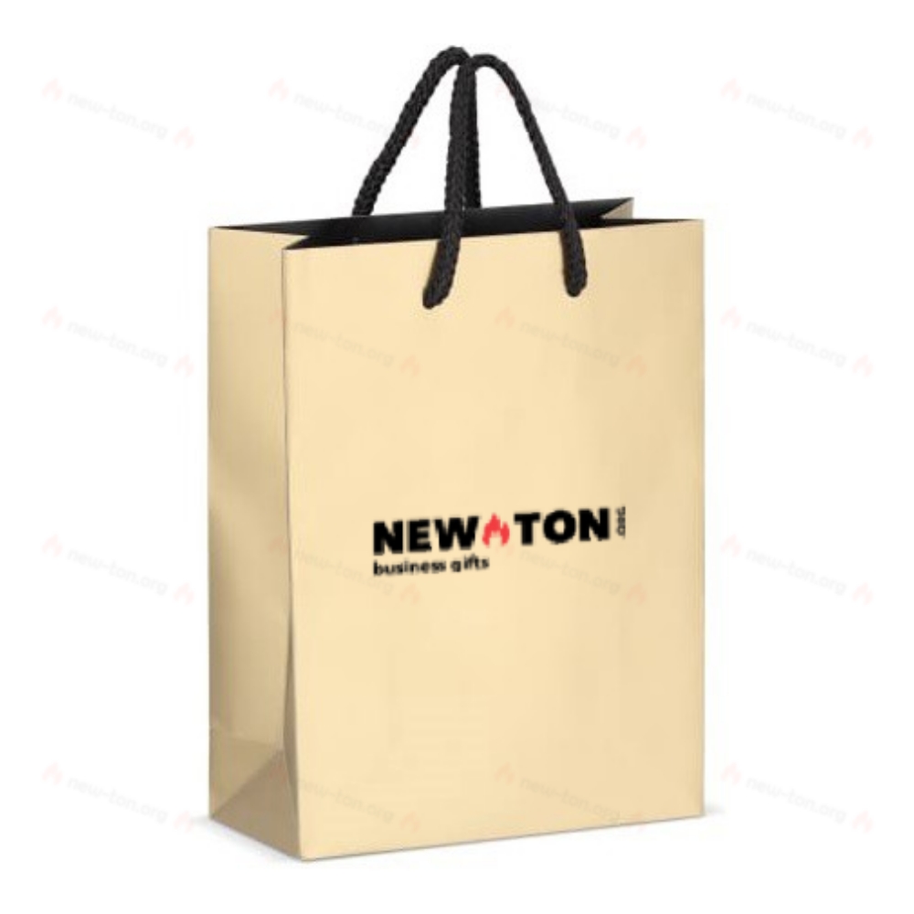 Бумажный подарочный пакет 18 х 8 х 24 см 200 г/м²