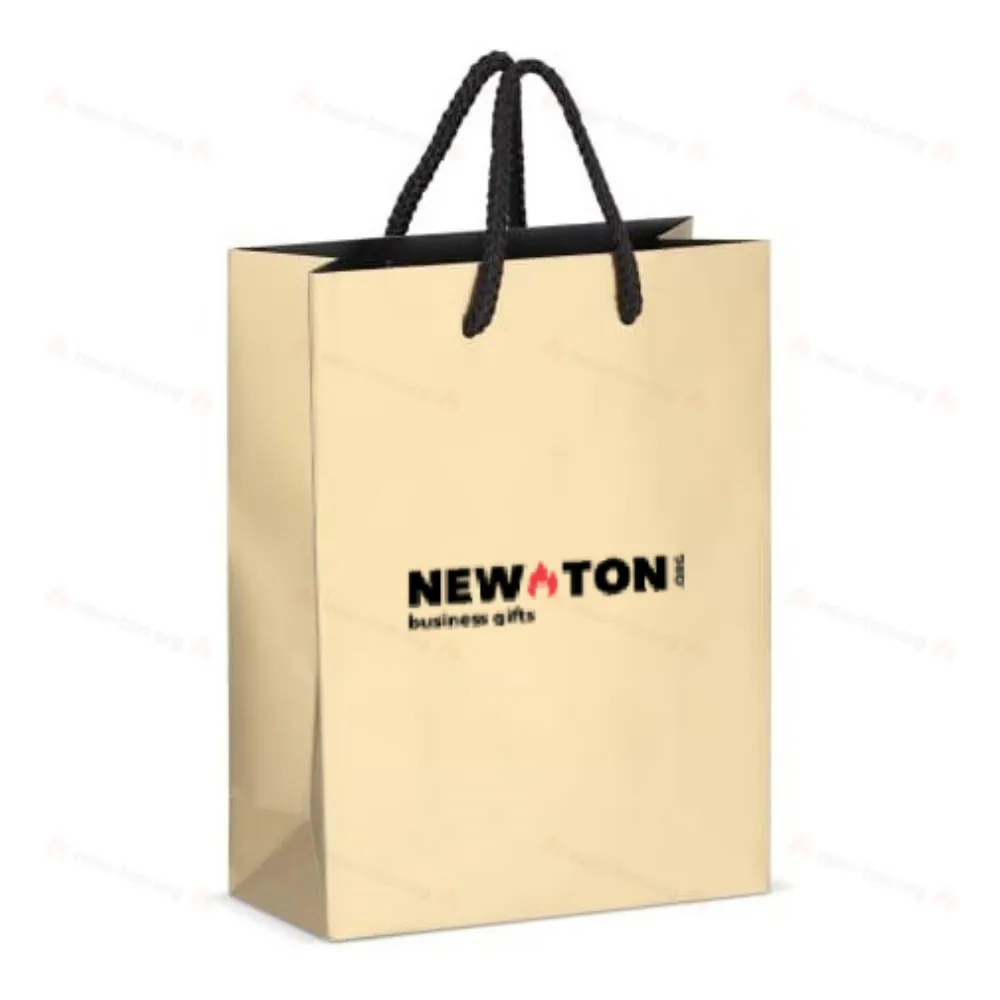 Бумажный подарочный пакет 18 х 8 х 24 см 200 г/м²