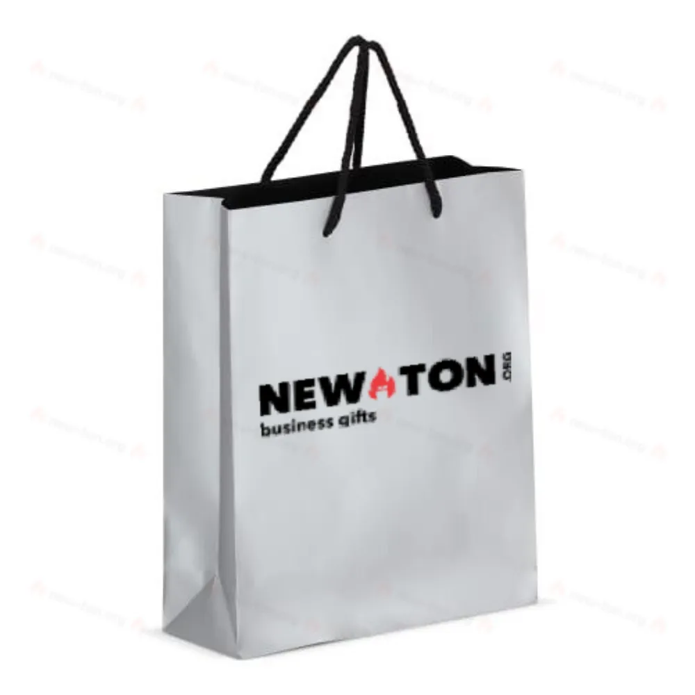 Бумажный подарочный пакет 24 х 10 х 30 см 200 г/м²