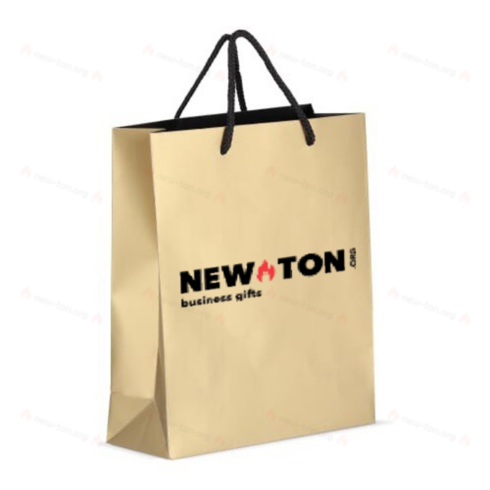 Бумажный подарочный пакет 24 х 10 х 30 см 200 г/м²