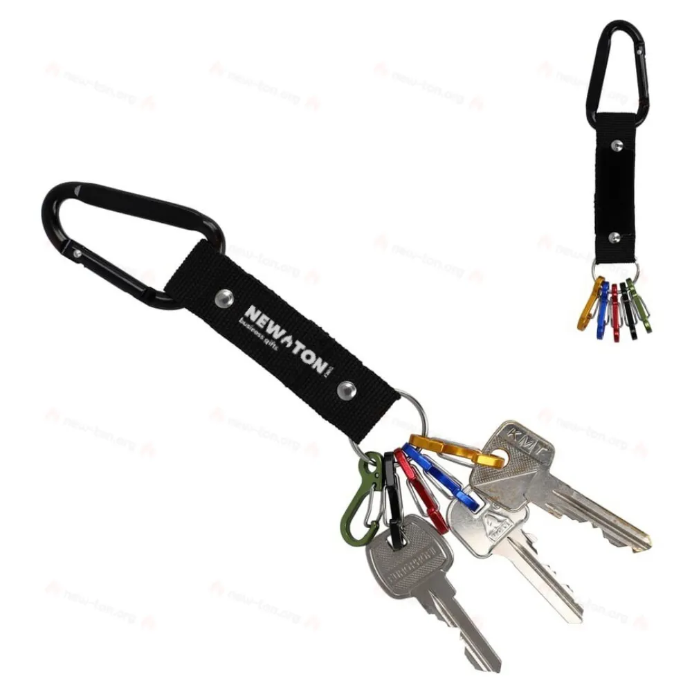 
                                                Carabiner key holder
                                                